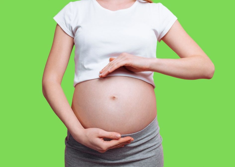 The First Trimester of Pregnancy What You Need To Know