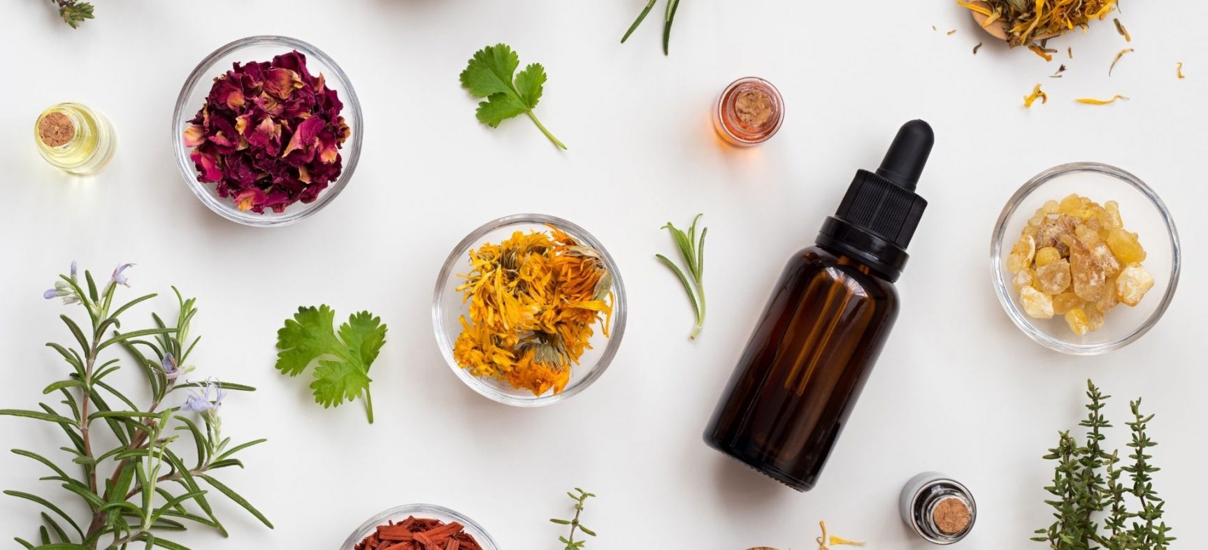 Herbs That Naturally Increase Fertility