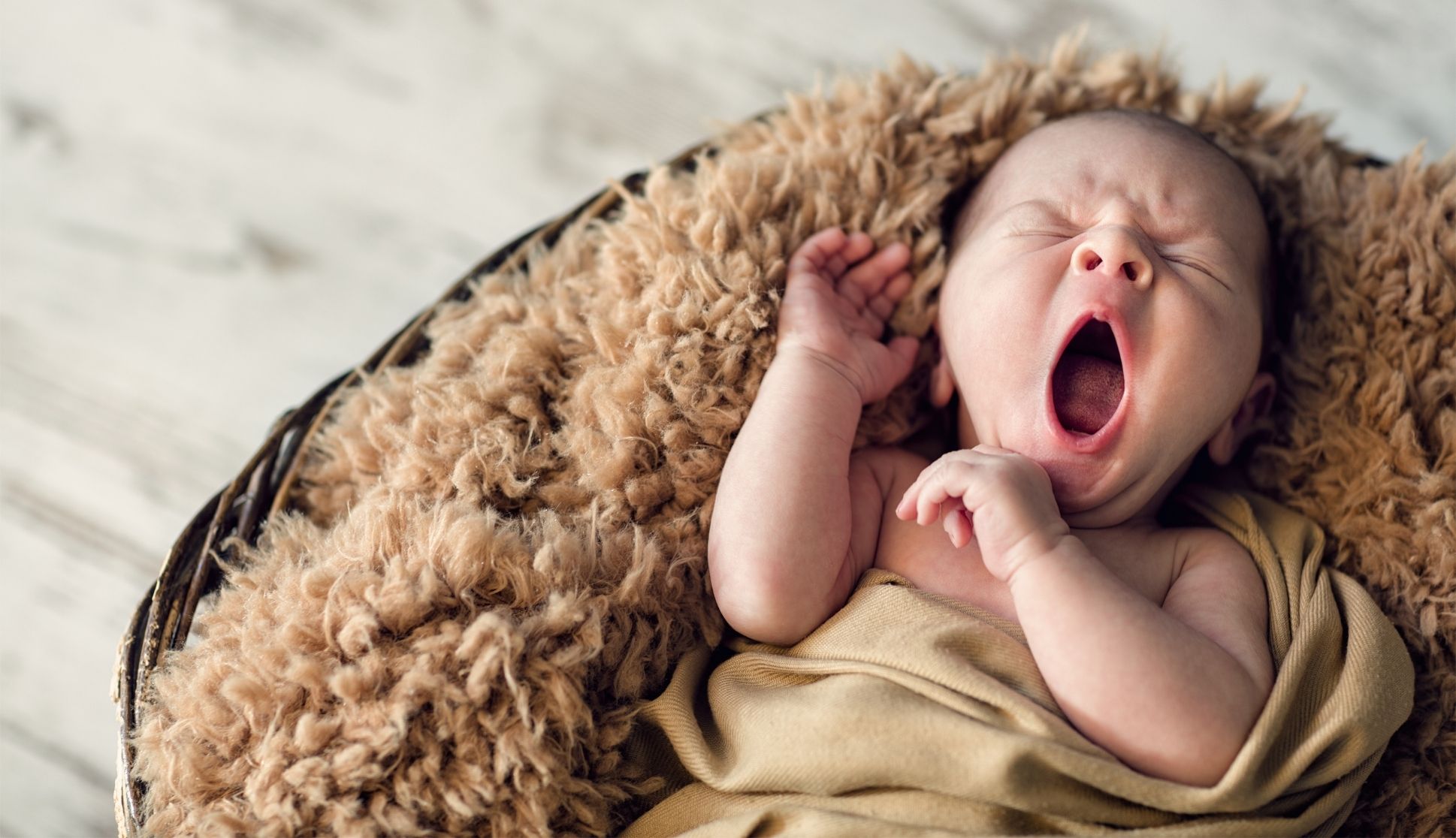 Pregnancy Naturopathy Best Brunswick