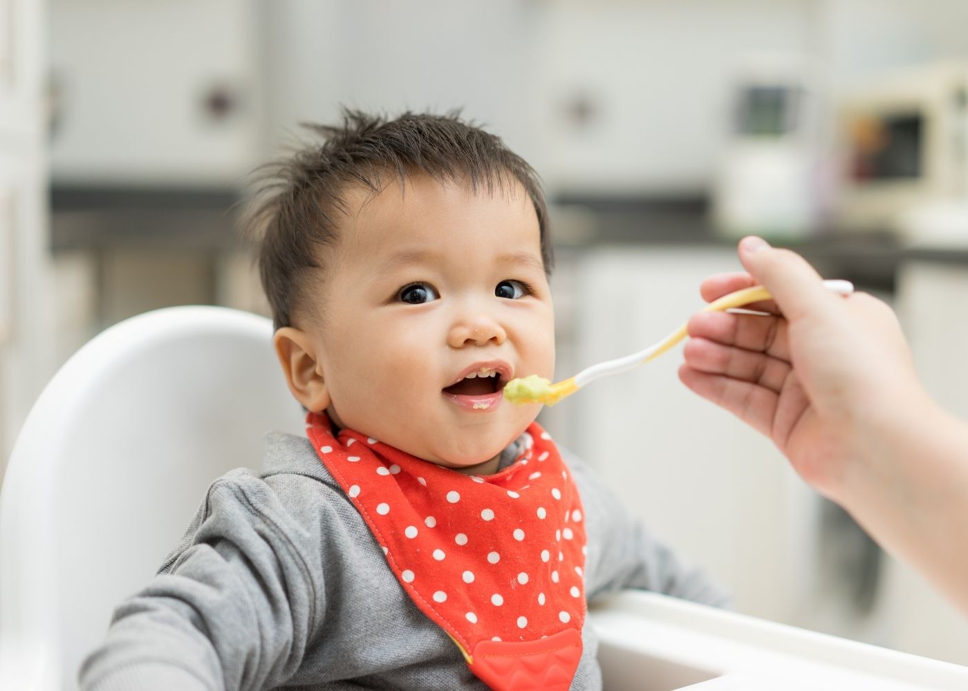 At What Age Can You Start Feeding Your Baby Solids - Orpha Lencept